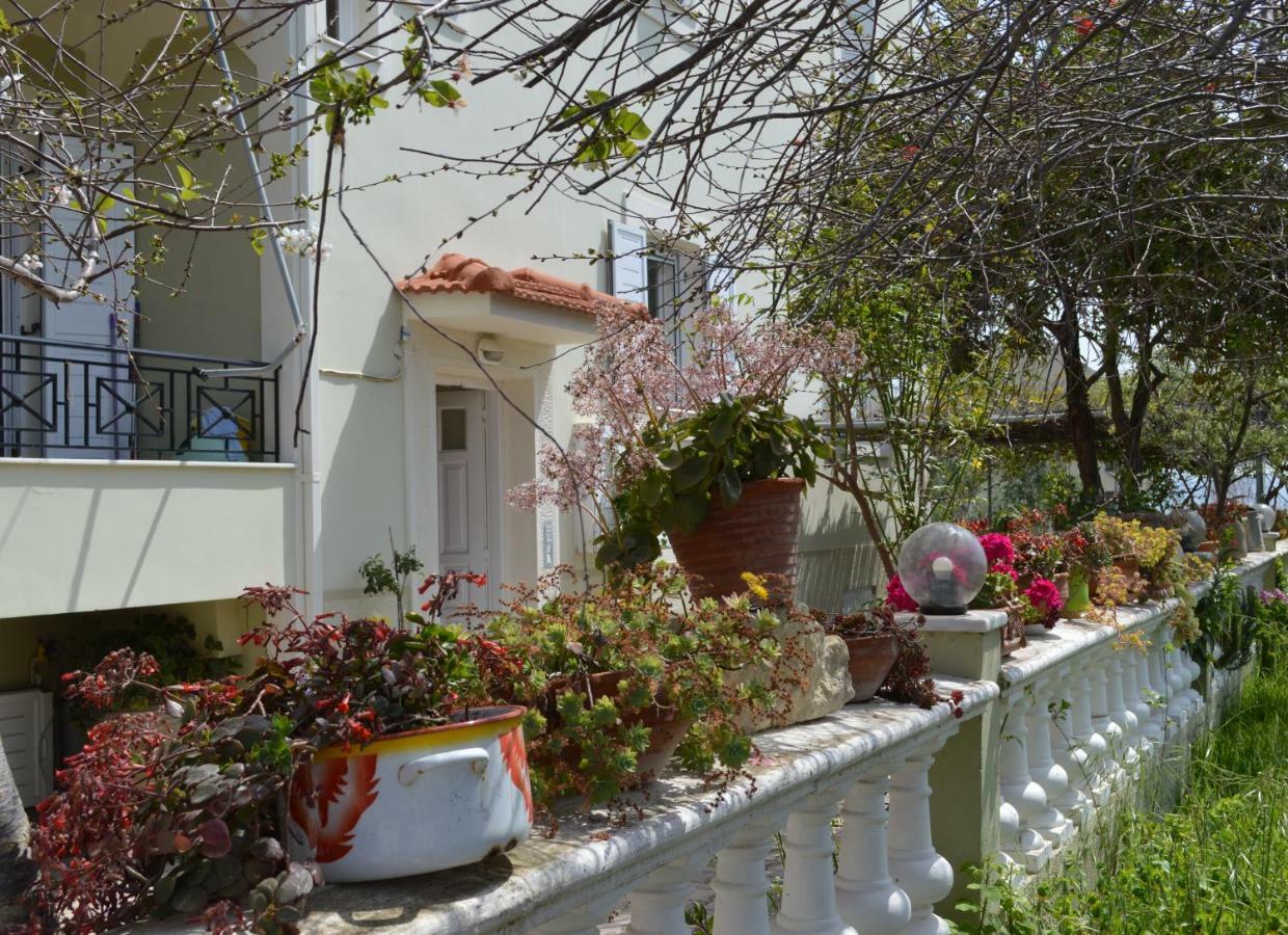 Araucaria Home Ликсури Экстерьер фото